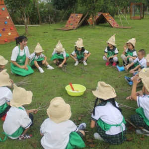 幼儿教育中语言的科学应用